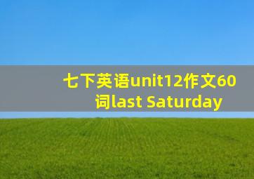 七下英语unit12作文60词last Saturday